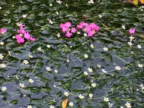 加茂神社の自然