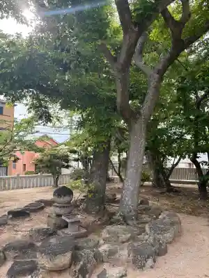 舞子六神社／まいこむの宮の{uncategorized: "未分類", other: "その他", undefined: "問題あり", building: "その他建物", grave: "お墓", sacred_gate: "鳥居", guardian: "狛犬", statue: "像", buddha: "仏像", history: "歴史", nature: "自然", garden: "庭園", animal: "動物", pagoda: "塔", temizu: "手水舎", mountain_gate: "山門・神門", sanctuary: "本殿・本堂", subordinate: "末社・摂社", art: "芸術", scenery: "景色", jizo: "地蔵", ema: "絵馬", goshuin: "御朱印", omikuji: "おみくじ", items: "授与品その他", amulet: "お守り", goshuincho: "御朱印帳", eats: "食事", festival: "お祭り", votive_dance: "神楽", shichigosan: "七五三参", wedding: "結婚式", experience: "体験その他", initially: "初詣", around: "周辺", anti_infection: "感染症対策"}