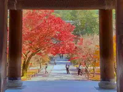 南禅寺のその他建物