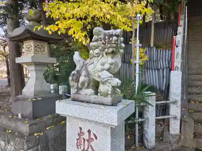 八雲神社(埼玉県)