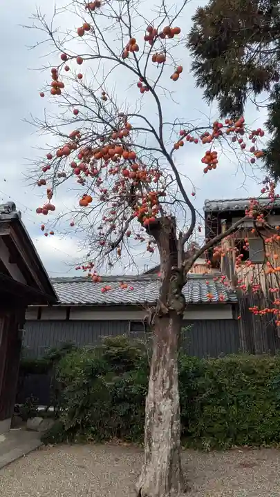 稲荷神社(鞭崎神社境外社)(滋賀県)