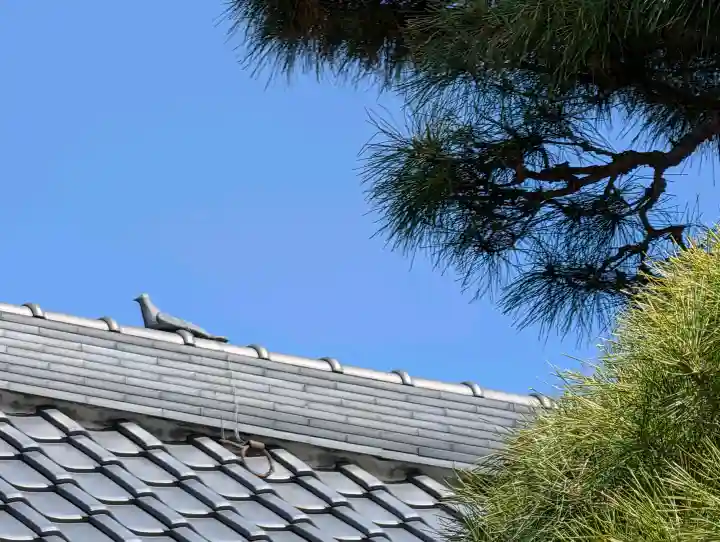 西光寺の{uncategorized: "未分類", other: "その他", undefined: "問題あり", building: "その他建物", grave: "お墓", sacred_gate: "鳥居", guardian: "狛犬", statue: "像", buddha: "仏像", history: "歴史", nature: "自然", garden: "庭園", animal: "動物", pagoda: "塔", temizu: "手水舎", mountain_gate: "山門・神門", sanctuary: "本殿・本堂", subordinate: "末社・摂社", art: "芸術", scenery: "景色", jizo: "地蔵", ema: "絵馬", goshuin: "御朱印", omikuji: "おみくじ", items: "授与品その他", amulet: "お守り", goshuincho: "御朱印帳", eats: "食事", festival: "お祭り", votive_dance: "神楽", shichigosan: "七五三参", wedding: "結婚式", experience: "体験その他", initially: "初詣", around: "周辺", anti_infection: "感染症対策"}