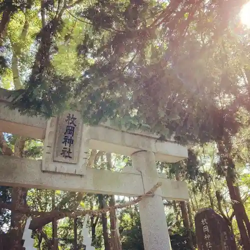 枚岡神社神津嶽本宮(大阪府)