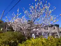 武州白子熊野神社(埼玉県)