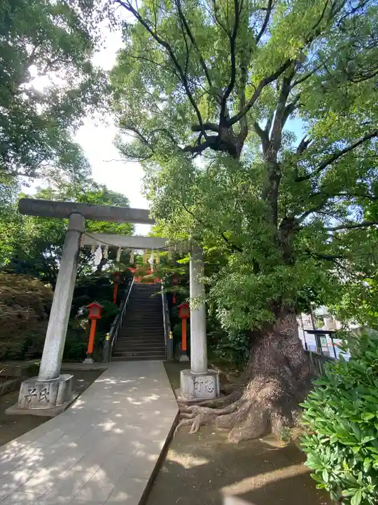 穴八幡宮の鳥居