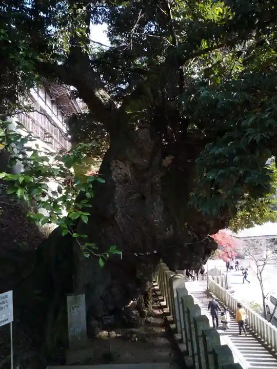 楽法寺(雨引観音)(茨城県)