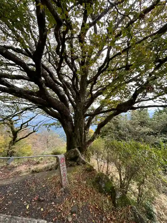 大山阿夫利神社本社(神奈川県)
