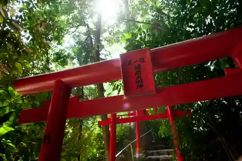 白笹稲荷神社の鳥居