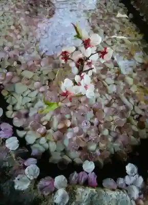 帯廣神社の手水舎