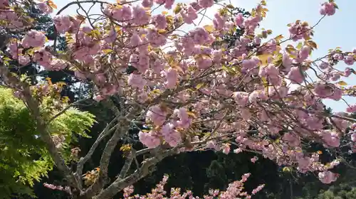 清澄寺(千葉県)