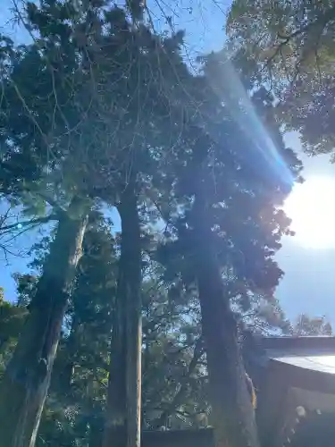 多度大社(三重県)