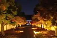 妙顯寺(妙顕寺)(京都府)