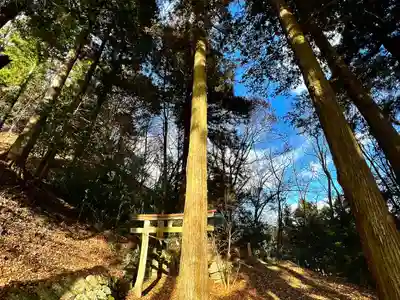 子檀嶺神社(長野県)