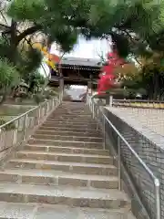 法輪寺の山門