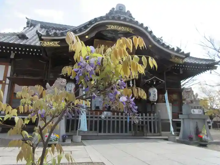 八剱八幡神社(千葉県)