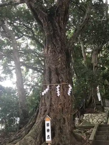 浅間神社の自然