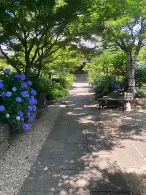 寶安寺（宝安寺）(神奈川県)