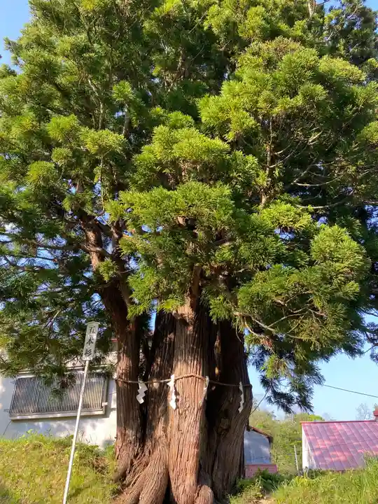 岩木山神社(青森県)