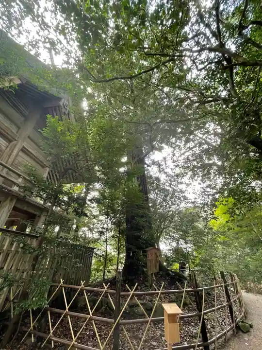 須佐神社(島根県)