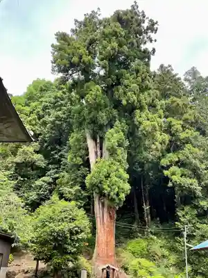 大中寺(栃木県)