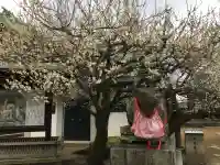 北野天満宮(京都府)