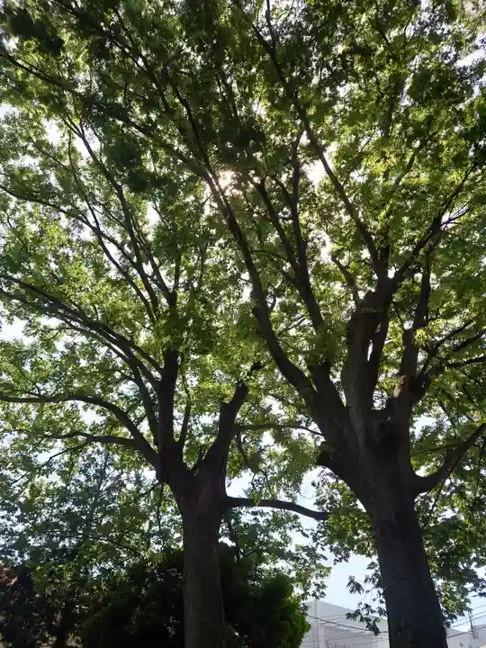 本郷神社(神奈川県)