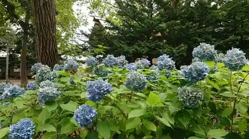 月寒神社の自然