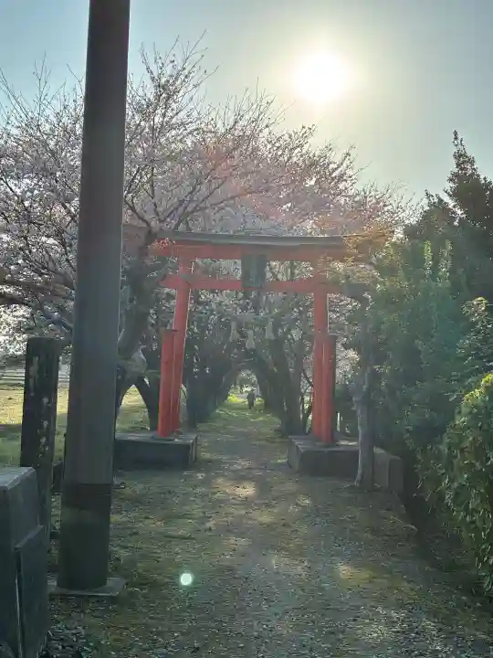 刀尾神社の{uncategorized: "未分類", other: "その他", undefined: "問題あり", building: "その他建物", grave: "お墓", sacred_gate: "鳥居", guardian: "狛犬", statue: "像", buddha: "仏像", history: "歴史", nature: "自然", garden: "庭園", animal: "動物", pagoda: "塔", temizu: "手水舎", mountain_gate: "山門・神門", sanctuary: "本殿・本堂", subordinate: "末社・摂社", art: "芸術", scenery: "景色", jizo: "地蔵", ema: "絵馬", goshuin: "御朱印", omikuji: "おみくじ", items: "授与品その他", amulet: "お守り", goshuincho: "御朱印帳", eats: "食事", festival: "お祭り", votive_dance: "神楽", shichigosan: "七五三参", wedding: "結婚式", experience: "体験その他", initially: "初詣", around: "周辺", anti_infection: "感染症対策"}