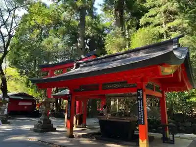 箱根神社の手水舎