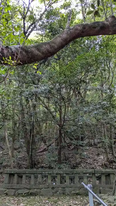 鉾立神社の自然