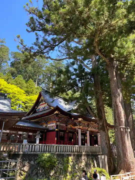 三峯神社(埼玉県)