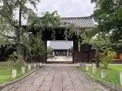 妙覺寺（妙覚寺）(京都府)