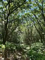 山家神社奥宮の自然