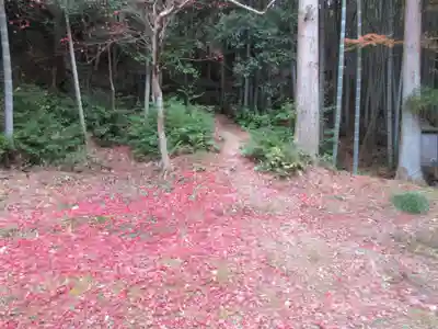 今熊野観音寺(京都府)