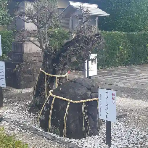 真光寺(千葉県)