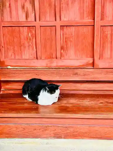 明智寺の{uncategorized: "未分類", other: "その他", undefined: "問題あり", building: "その他建物", grave: "お墓", sacred_gate: "鳥居", guardian: "狛犬", statue: "像", buddha: "仏像", history: "歴史", nature: "自然", garden: "庭園", animal: "動物", pagoda: "塔", temizu: "手水舎", mountain_gate: "山門・神門", sanctuary: "本殿・本堂", subordinate: "末社・摂社", art: "芸術", scenery: "景色", jizo: "地蔵", ema: "絵馬", goshuin: "御朱印", omikuji: "おみくじ", items: "授与品その他", amulet: "お守り", goshuincho: "御朱印帳", eats: "食事", festival: "お祭り", votive_dance: "神楽", shichigosan: "七五三参", wedding: "結婚式", experience: "体験その他", initially: "初詣", around: "周辺", anti_infection: "感染症対策"}