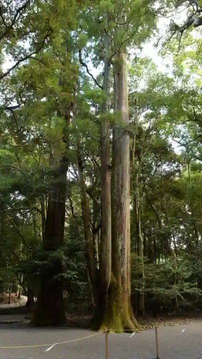 伊勢神宮外宮(豊受大神宮)の庭園