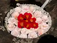 真言宗 善通寺派 薬王寺(香川県)