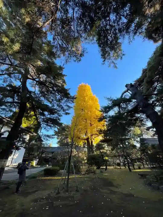 三寳寺(東京都)