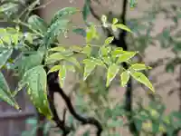 西方山極楽寺(岐阜県)