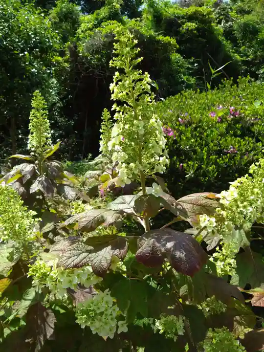 桜井大神宮(福岡県)