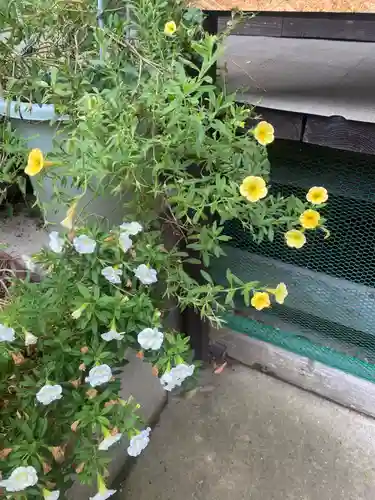 岡部春日神社～👹鬼門よけの🌺花咲く🌺やしろ～(福島県)