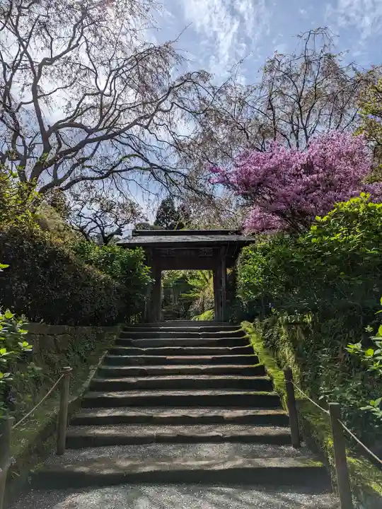 明月院(神奈川県)