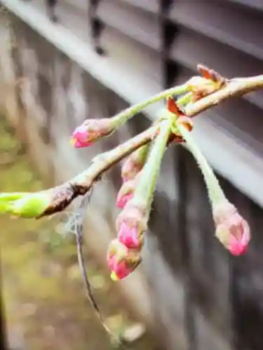 池尻稲荷神社(東京都)