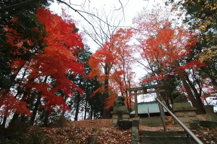 國祖神社の自然