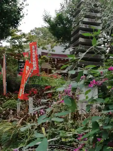 一乗院(開運出世筑波不動尊) の自然