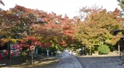 真正極楽寺（真如堂）の庭園