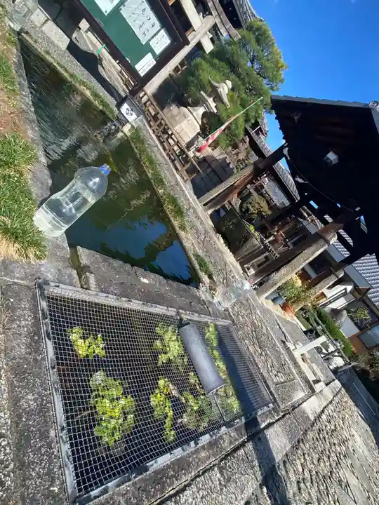 華光寺(京都府)