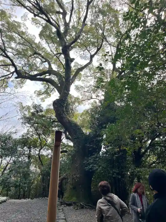 月夜見宮(豊受大神宮別宮)の{uncategorized: "未分類", other: "その他", undefined: "問題あり", building: "その他建物", grave: "お墓", sacred_gate: "鳥居", guardian: "狛犬", statue: "像", buddha: "仏像", history: "歴史", nature: "自然", garden: "庭園", animal: "動物", pagoda: "塔", temizu: "手水舎", mountain_gate: "山門・神門", sanctuary: "本殿・本堂", subordinate: "末社・摂社", art: "芸術", scenery: "景色", jizo: "地蔵", ema: "絵馬", goshuin: "御朱印", omikuji: "おみくじ", items: "授与品その他", amulet: "お守り", goshuincho: "御朱印帳", eats: "食事", festival: "お祭り", votive_dance: "神楽", shichigosan: "七五三参", wedding: "結婚式", experience: "体験その他", initially: "初詣", around: "周辺", anti_infection: "感染症対策"}