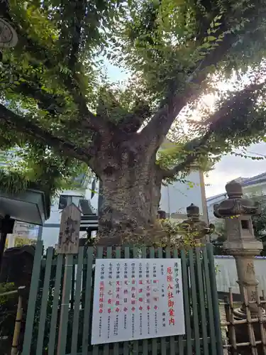 二宮神社(兵庫県)